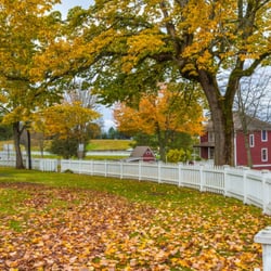 Tucker Lawn & Maintenance - Fall Yard Clean Up