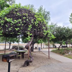 Rio Vista Park - Cool natural canopy.