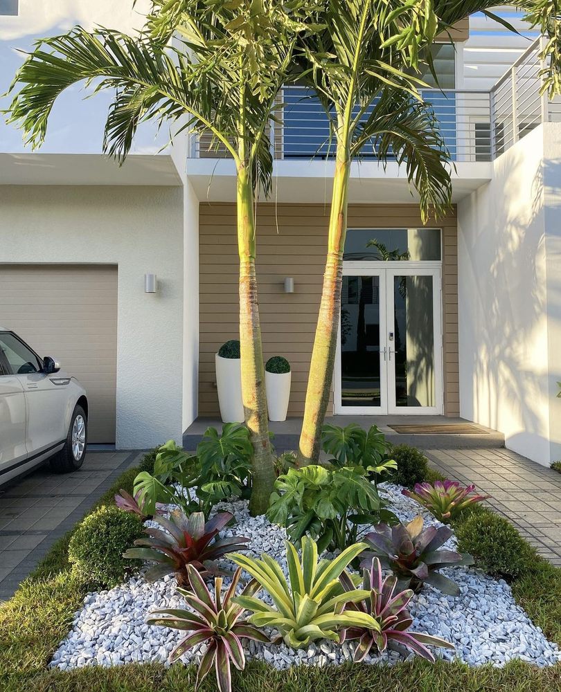 Project Xerofitus - tree service in Coral Gables, FL