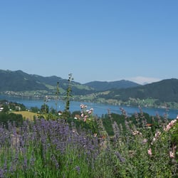 Pension Seeblick