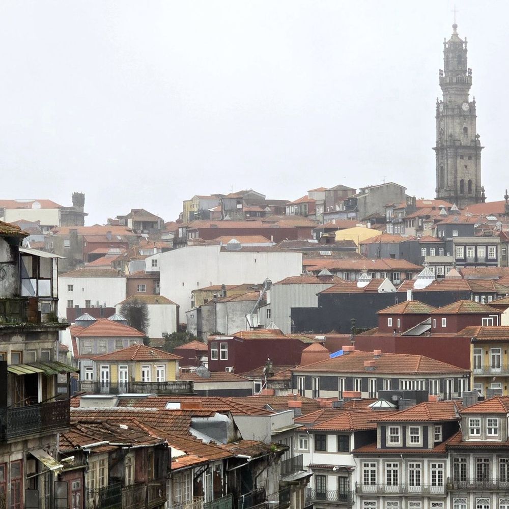 Sala de Prova - Wine Tasting Room Near Me - Porto, 13