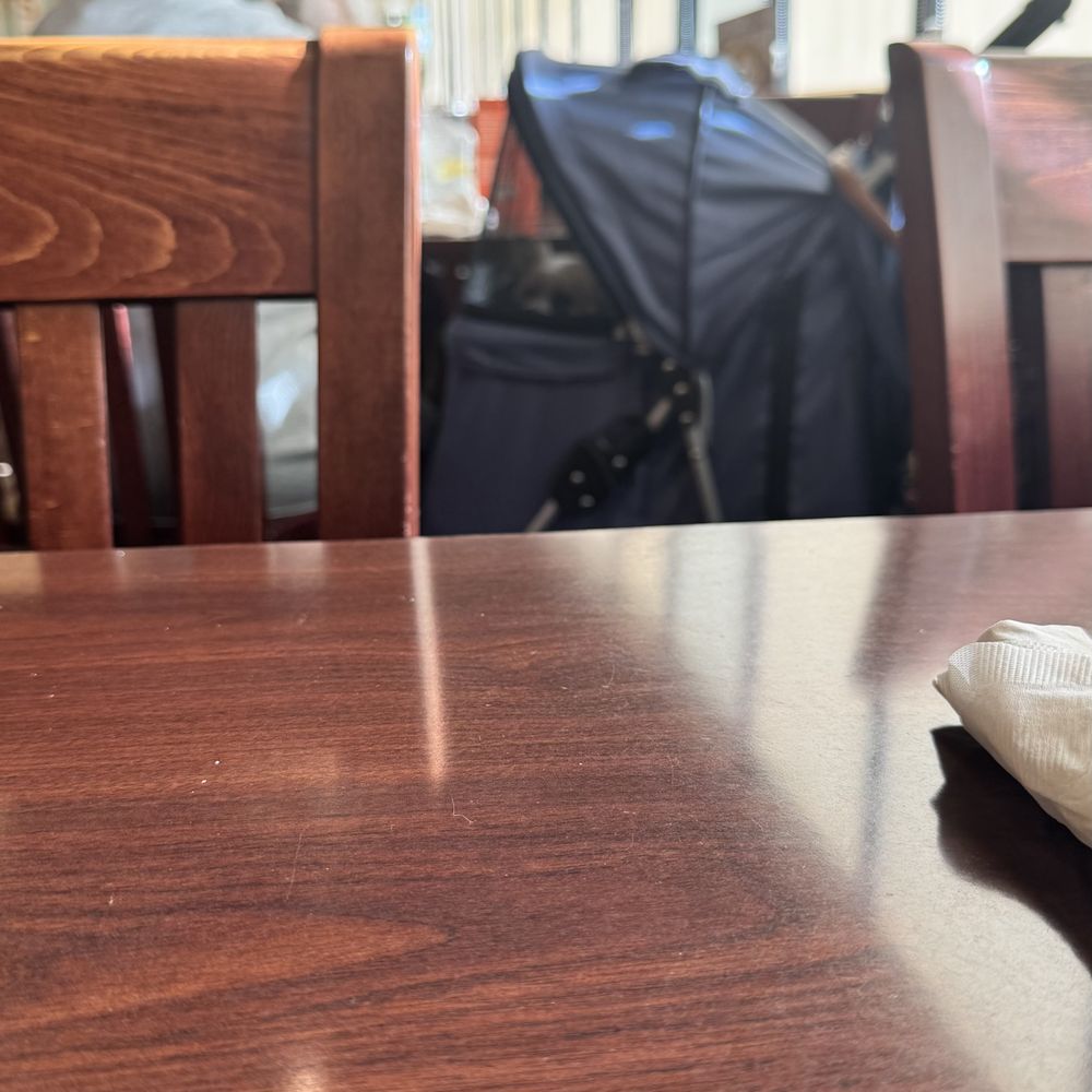 Village Inn - Dogs in Restaurant - Breakfast & Brunch Near Me - Zephyrhills, Florida