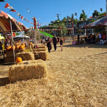 The Pumpkin Factory - Pumpkin Patches Near Me - Corona, California The Pumpkin Factory - Pumpkin Patches Near Me - Corona, California