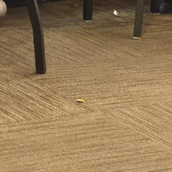 NORMS Restaurant - The dinning room was messy trash on the floor - Diners Near Me - West Hollywood, California NORMS Restaurant - The dinning room was messy trash on the floor - Diners Near Me - West Hollywood, California