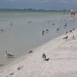Pass-A-Grille Beach