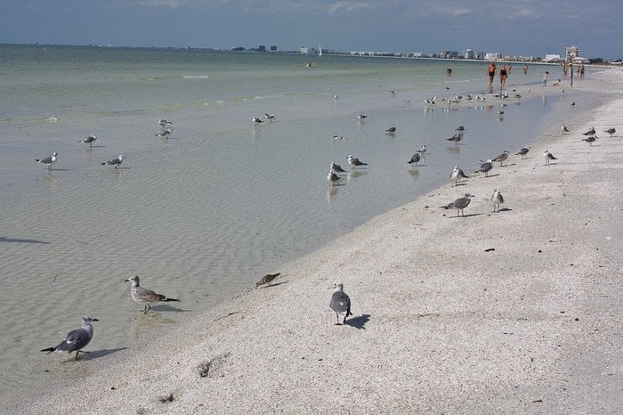 Pass-A-Grille Beach Image