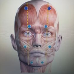 Collings Acupuncture & Wellness - Facial Rejuvenation Acupuncture is botox without the chemicals. Schedule your session today!