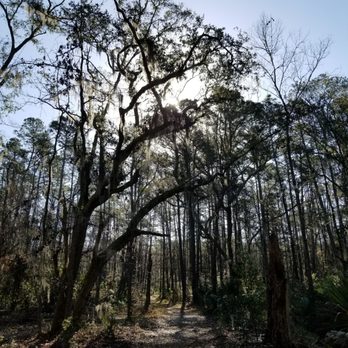 Victoria Bluff Heritage Preserve - Hiking Near Me - Bluffton, South Carolina Victoria Bluff Heritage Preserve - Hiking Near Me - Bluffton, South Carolina