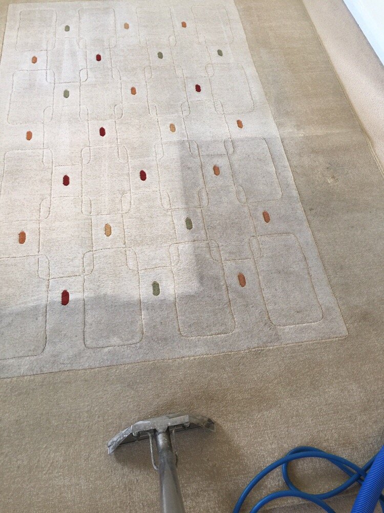 SOMERSET CARPET & UPHOLSTERY CLEANING Updated August 2024 Request a