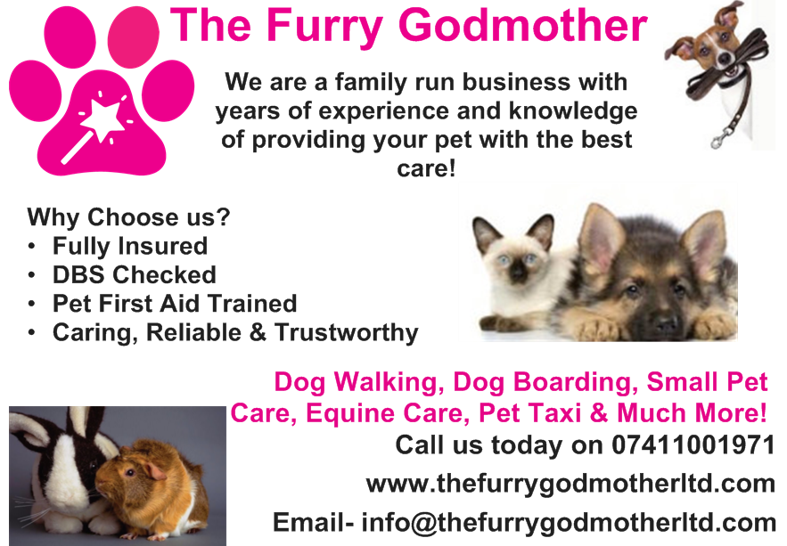 THE FURRY GODMOTHER Rochdale, Lancashire, United Kingdom Dog