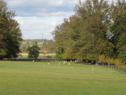 Burghley House by null