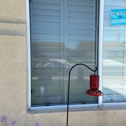Front window with replaced screen.