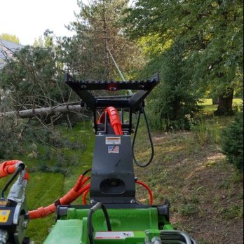 Tree Tender - Tree Removal Strongsville Ohio - Tree Services Near Me - West Salem, Ohio Tree Tender - Tree Removal Strongsville Ohio - Tree Services Near Me - West Salem, Ohio