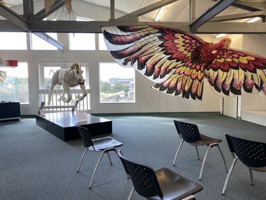 World Kite Museum & Hall-Fame by null