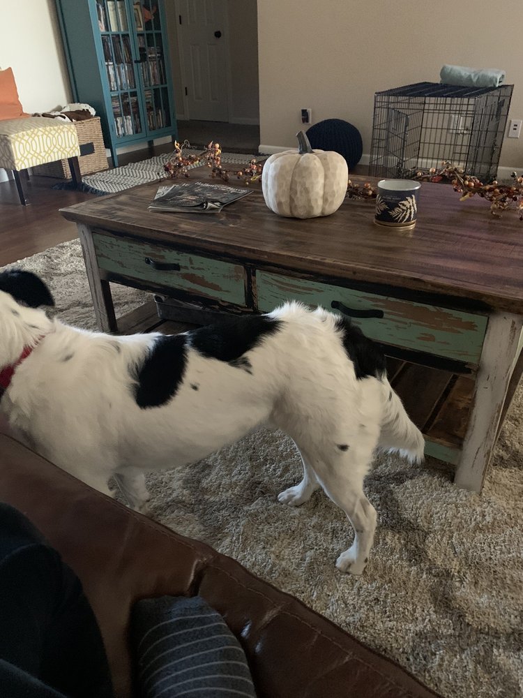 BOWSER’S BATH HOUSE Updated May 2024 2900 E 16th St, Sedalia