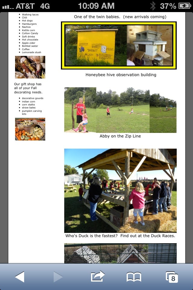 RHODES PUMPKIN FARM Updated August 2024 8863 Dustman Rd, Worden