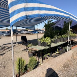 Pasco Flea Market - 4/26/26