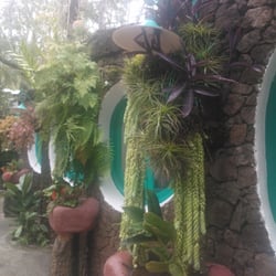 Restaurante Chipi - Chipi Juan Mayor, 42