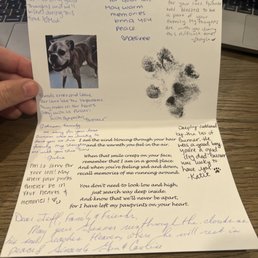 PAWS 'N' CLAWS VETERINARY HOSPITAL - Updated August 2025