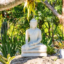 The Plant and Pot - White Marble Buddha Statue