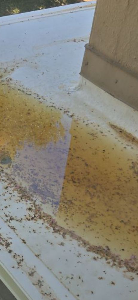 Slide of All Star Roofing