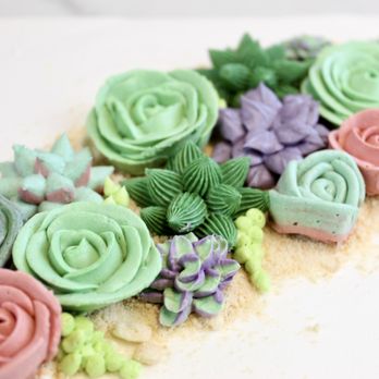 Plant Baked by Sarah - buttercream succulent cake - Bakeries Near Me - Baltimore, Maryland Plant Baked by Sarah - buttercream succulent cake - Bakeries Near Me - Baltimore, Maryland