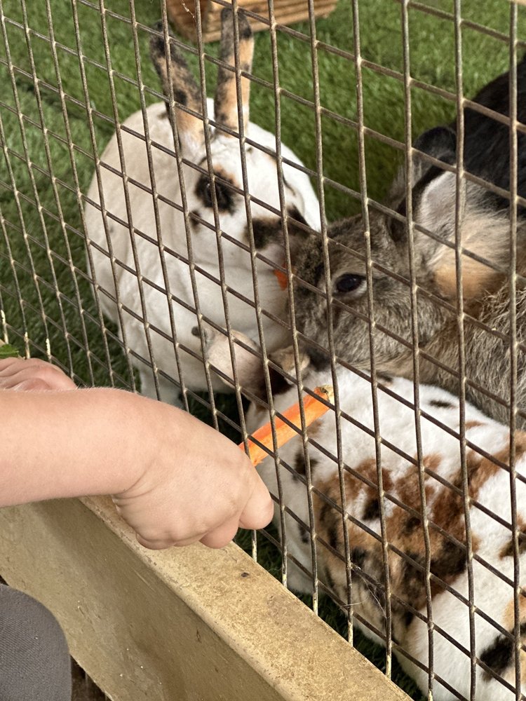 RIVER STREET RANCH Updated October 2024 1027 Photos & 762 Reviews