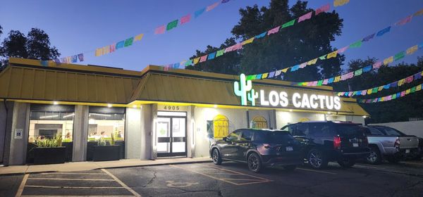 Los Cactus by null