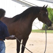 JACK TONE RANCH - 36 Photos - Venues & Event Spaces - 9649 N Jack Tone ...