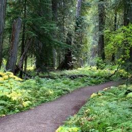 The trail - wide, flat, wonderful. The trail - wide, flat, wonderful.