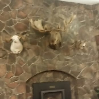 The Lakefront Anchorage - Cozy fireplace with our AK pals :) - Hotels Near Me - Anchorage, Alaska The Lakefront Anchorage - Cozy fireplace with our AK pals :) - Hotels Near Me - Anchorage, Alaska