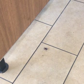 El Pollo Loco - Roach - Fast Food Near Me - Brea, California