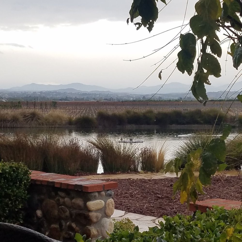 Ponte Vineyard Inn - Pond within view/walking distance of the patio - Hotels Near Me - Temecula, California Ponte Vineyard Inn - Pond within view/walking distance of the patio - Hotels Near Me - Temecula, California