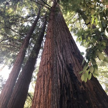1440 Multiversity - Specialty Schools Near Me - Scotts Valley, California 1440 Multiversity - Specialty Schools Near Me - Scotts Valley, California