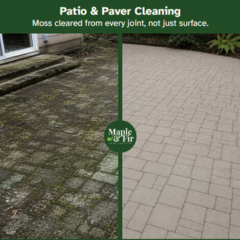 Maple & Fir - Moss cleared from every joint, not just surface. - Pressure Washers Near Me Maple & Fir - Moss cleared from every joint, not just surface. - Pressure Washers Near Me