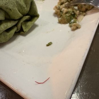 Dive Coastal Cuisine - Sharp piece of maybe a twist tie? That got stuck in my teeth from my wrap. - Seafood Near Me - Dallas, Texas