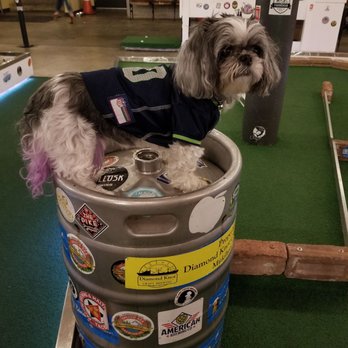 Flatstick Pub - Pioneer Square - Everybody loves Eevee, dog friendly here! Go hawks! - Mini Golf Near Me - Seattle, Washington Flatstick Pub - Pioneer Square - Everybody loves Eevee, dog friendly here! Go hawks! - Mini Golf Near Me - Seattle, Washington