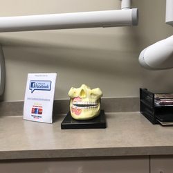 Handley Dental - Teeth diagram