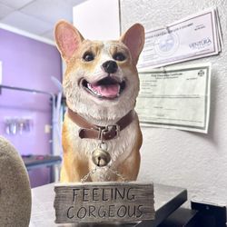 Get your Groom on