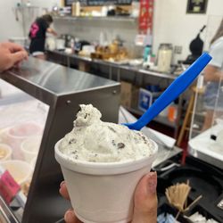 Scoops Homemade Ice Cream Parlor - Oreo banana pudding medium cup!