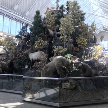 Scheels - 9/21/2018:  Taxidermied animals. - Sports Wear Near Me - Sparks, Nevada