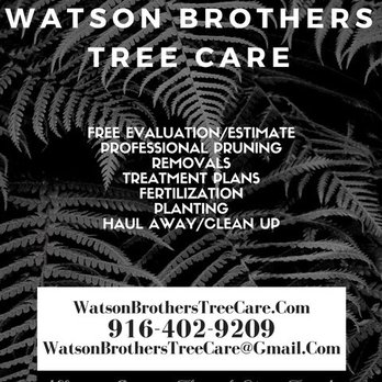 Watson Brothers Tree Care - Tree Services Near Me Watson Brothers Tree Care - Tree Services Near Me