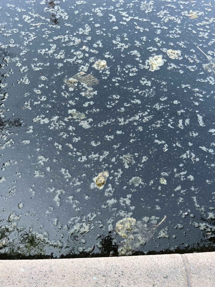 OSCAR’S POOL SERVICE REMODELING & CONSTRUCTION Updated October 2024 108 Photos & 53 Reviews