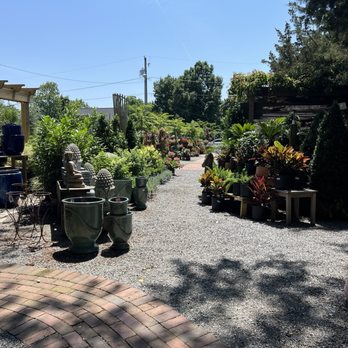 Wharton's Garden Center - Nice arrangements of plants - Nurseries & Gardening Near Me - Rehoboth Beach, Delaware Wharton's Garden Center - Nice arrangements of plants - Nurseries & Gardening Near Me - Rehoboth Beach, Delaware