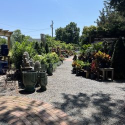 Wharton's Garden Center - Nice arrangements of plants