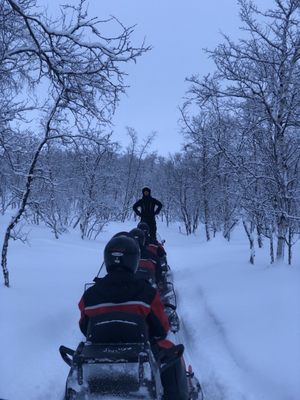 Chasing Lights by null