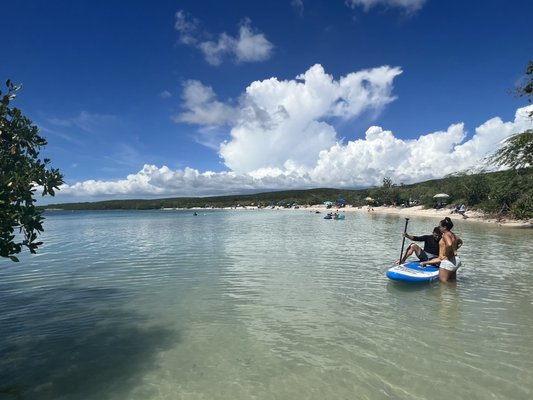 Playa La Jungla by null