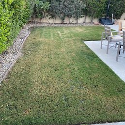 Before Before