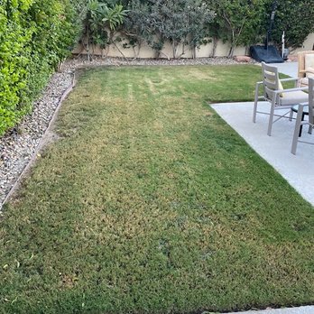 Purchase Green Artificial Grass - Before - Landscaping Near Me - Palm Desert, California Purchase Green Artificial Grass - Before - Landscaping Near Me - Palm Desert, California