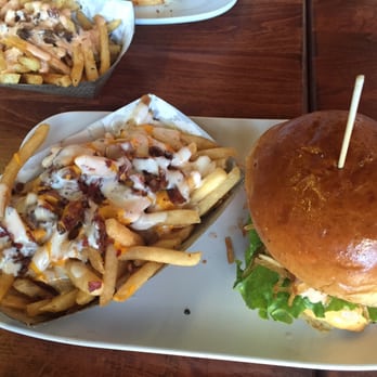 PINCHO - Latin American Near Me - Pembroke Pines, Florida PINCHO - Latin American Near Me - Pembroke Pines, Florida